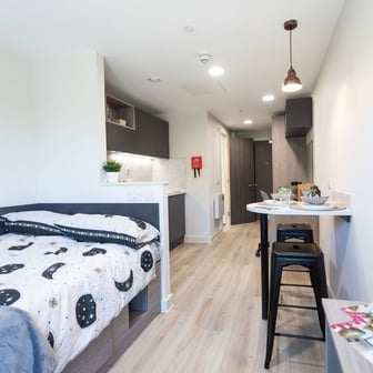 Premium Plus Studio - Image 2